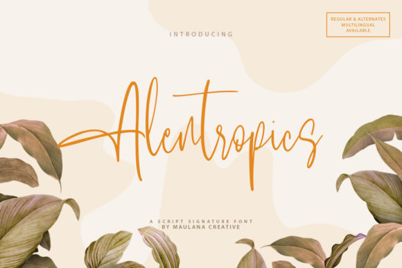 Alentropics: A Modern Script Font for Editorial Design