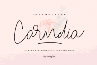 Carmelia: A Modern Script Font for Distinctive Web Design