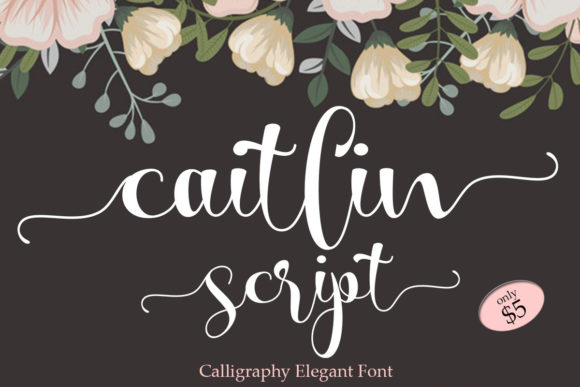 Elevate Your Web Design with Caitlin Script Font
