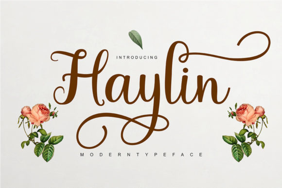 Haylin Script: A Delicate Typeface for Elegant Publishing