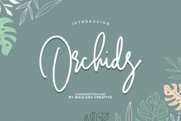 Orchids: A Font to Elevate Your Web Design