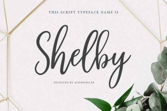 Shelby Script: A Versatile Font for Modern Web Design